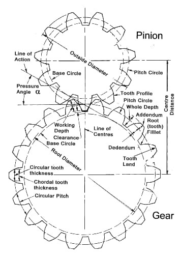 spur gear