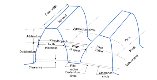Tooth Profile
